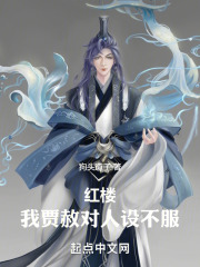 红楼贾恩侯小说