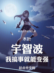 木叶之宇智波启