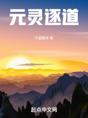 元灵逐道全本