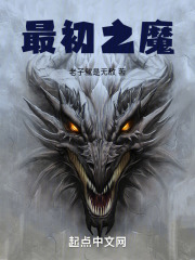 以一人之智决天下之务借使得失相半翻译