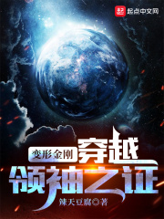 变形金刚穿越领袖之证小说