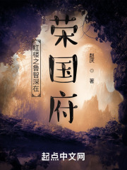 红楼之鲁智深在荣国府小说