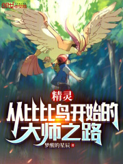 宠物小精灵比比鸟