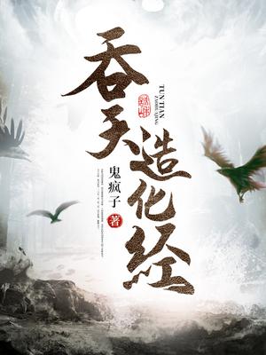 吞天造化经小说