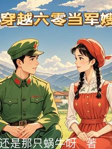 穿越六零当军嫂的小说