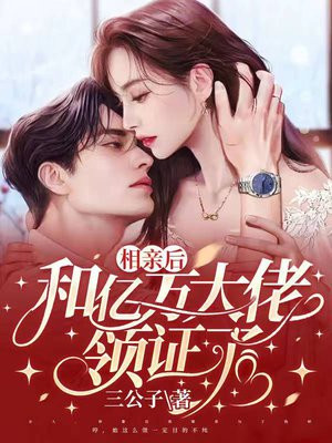 相亲后,和亿万大佬领证了 三公子