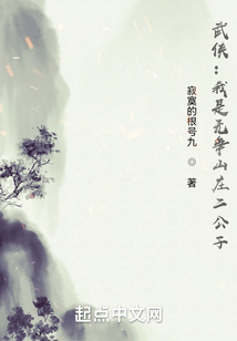 武侠:我是无争山庄二公子 寂寞的根号九