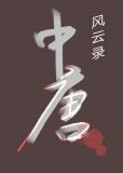 中唐风云录