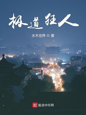 小说极道狂飙李航