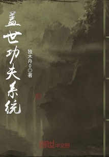 盖世功绩