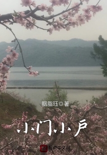 小门小户小说免费全文阅读