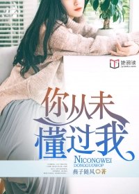 你从未懂过我全文免费阅读