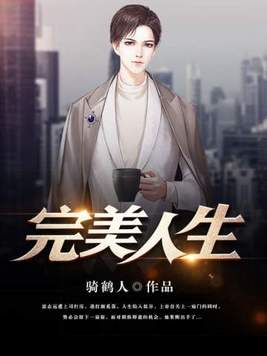 完美人生电影