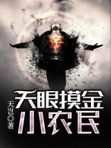 天眼摸金小农民百度网盘下载