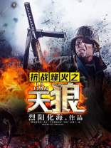 抗战烽火之天狼有声小说