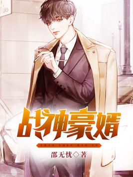 战神豪婿小说