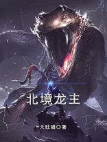 北境龙主小说完整版在线阅读
