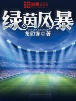 绿茵风暴小说