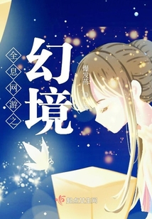 全息网游之幻境 小说