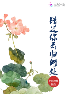 云归何处寻什么意思