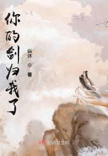 你的剑就是我的剑歌词