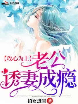 书名:攻心为上,老公诱妻成瘾