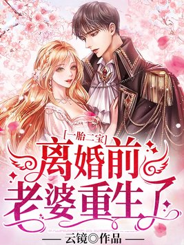 一胎二宝:离婚前,老婆重生了txt