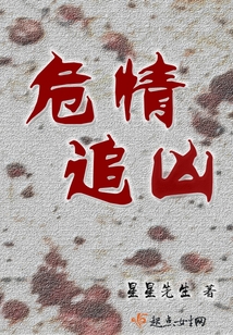 危情追凶小说全文免费阅读