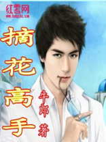摘花高手TXT下载