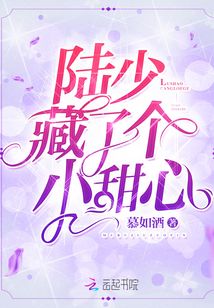 陆少藏了个小甜心三百文学