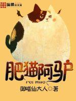 肥猫阿黄读后感