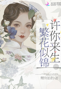 许你来生繁花似锦免费阅读