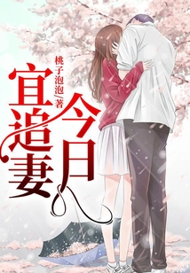 今日宜追妻小说全文免费阅读