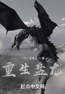 重生盘龙每日签到