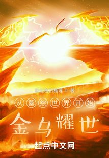 从墓综世界开始:金乌耀世TXT电子书下载