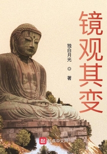 镜观其变起点