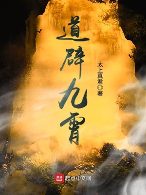 道辟九霄小说