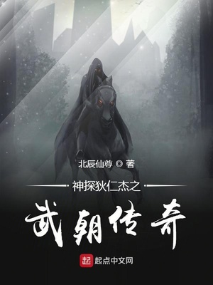 神探狄仁杰之武朝传奇 北辰仙尊