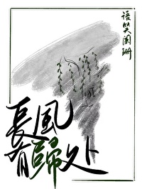 长风有归处百度网盘资源