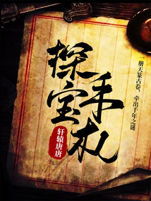 探宝手札 小说