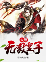 大唐无敌皇子小说