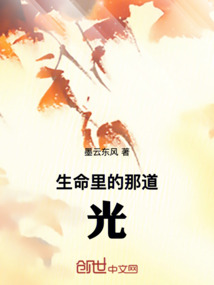 生命里的那道光作文