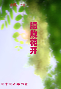 朦胧花开朦胧花开