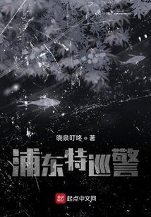 特巡警个人总结