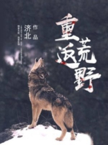 重返荒野的狮王小说