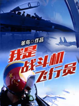 我是战斗机飞行员 小说下载