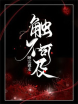 触不可及小说