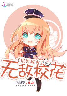 小说家族无敌