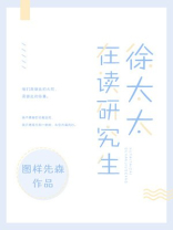 徐太太在读研究生小说
