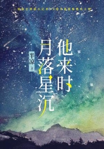 伴你月落星沉简谱
